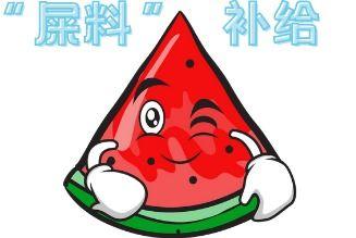 吃瓜现场短剧,短剧里的欢乐与智慧