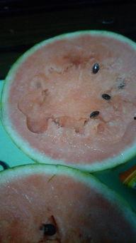 颜淡吃自己瓜,一场关于成长与反思的奇幻之旅