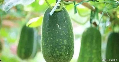 拾月吃瓜,揭秘娱乐圈幕后故事