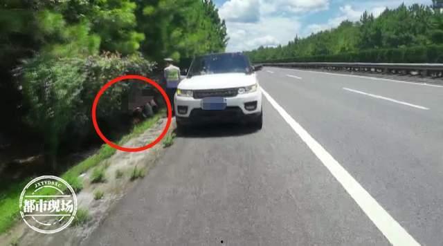 高速上汽车吃瓜群众,汽车“吃瓜群众”的趣味瞬间