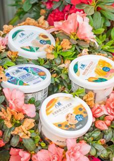 吃冰瓜吃冰糕视频下载,冰瓜冰糕视频下载攻略