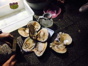 娘娘在线吃瓜,揭秘宫廷秘闻