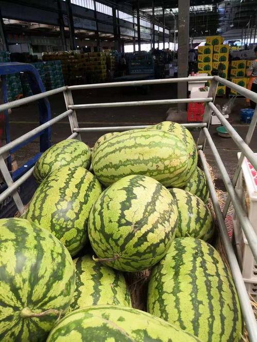 任县金环市场 吃瓜,瓜果飘香，热闹非凡的市井生活画卷