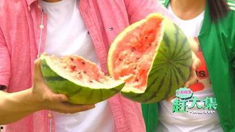 静海吃瓜,揭秘当地特色美食背后的故事