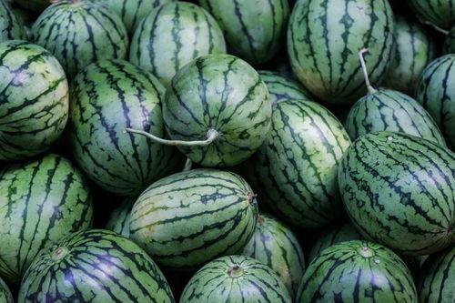 各种颜色吃瓜,探索各种颜色吃瓜的奇妙之旅