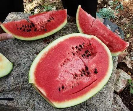 肾虚吃瓜拉肚子,揭秘瓜类食物与肾虚的关系