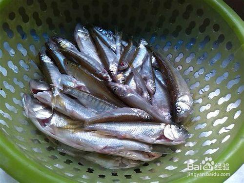 大黄小鱼吃瓜视频,揭秘娱乐圈幕后故事