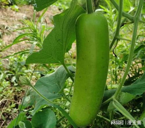 2021开年吃瓜,娱乐圈风云再起，年度大瓜盘点