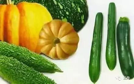 吃瓜的声音,揭秘吃瓜群众的趣味生活