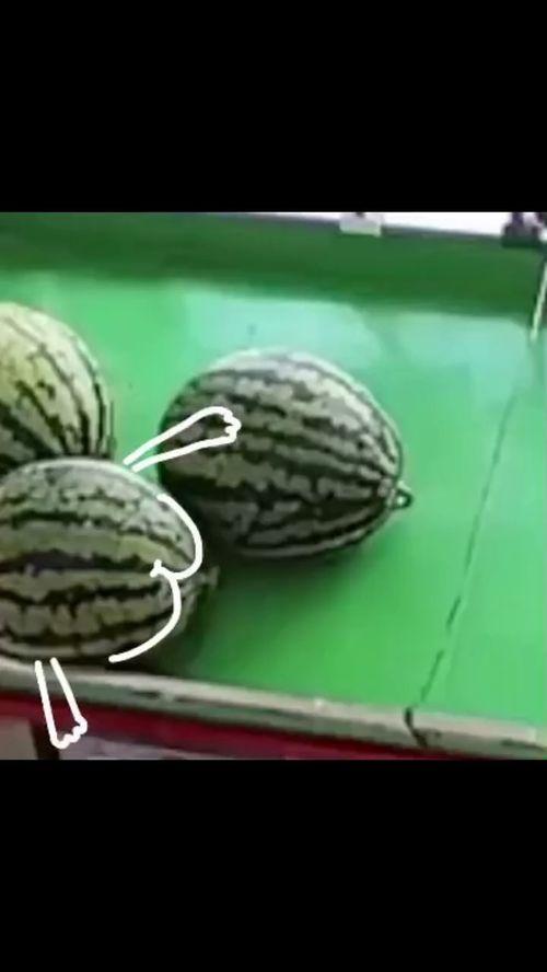 吃瓜表情绘画作品