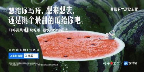 吃瓜文案大全图片,揭秘吃瓜文案大全背后的趣味与智慧