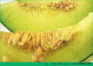 宝宝多大能直接吃哈密瓜