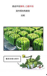 等吃瓜的时候,吃瓜群众视角下的娱乐圈风云录